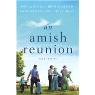 An Amish Reunion 9780310360049