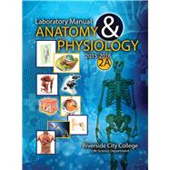 My Anatomy Mentor 9781465270306