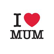 I Love Mom The Perfect Gift to Give to Your Mom 9781837990306