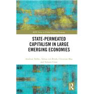 State-permeated Capitalism in Large Emerging Economies 9780429551437