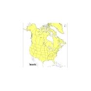 A Field Guide to Insects: America North of Mexico 9780395911709
