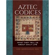 Aztec Codices 9781440851803