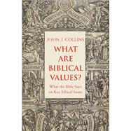 What Are Biblical Values? 9780300231939