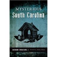 Mysterious South Carolina 9781467142106