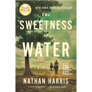 The Sweetness of Water (Oprah's Book Club) A Novel 9780316362481