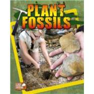 Plant Fossils 9780778712688