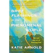 Brief Flashings in the Phenomenal World 9781952692697
