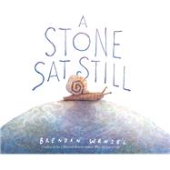 A Stone Sat Still 9781452173184