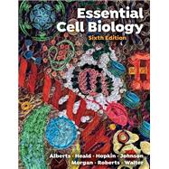 Essential Cell Biology 9781324033417