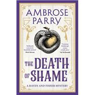 The Death of Shame 9781837263431