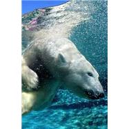 Swimming Polar Bear Journal 9781523393718