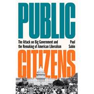 Public Citizens The Attack on Big Government and the Remaking of American Liberalism 9780393634044