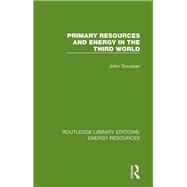 Primary Resources and Energy in the Third World 9781000014051