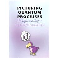 Picturing Quantum Processes 9781107104228