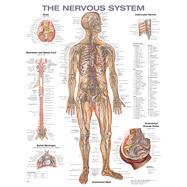 The Nervous System Anatomical Chart 9781975214326