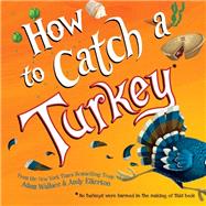 How to Catch a Turkey 9781492664352