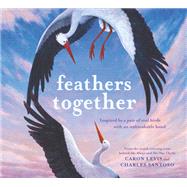 Feathers Together 9781419754586