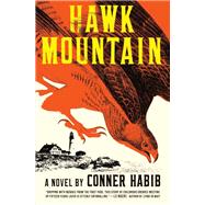 Hawk Mountain A Novel 9781324064862