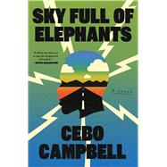 Sky Full of Elephants A Novel 9781668034927