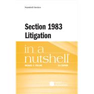 Section 1983 Litigation in a Nutshell(Nutshells) 9798887865126