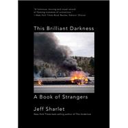 This Brilliant Darkness A Book of Strangers 9781324075196