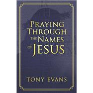 Praying Through the Names of Jesus 9780736975308
