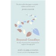Beyond Goodbye A practical and compassionate guide to surviving grief, with day-by-day resources to navigate a path through loss 9781409185383