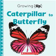 Caterpillar to Butterfly (Growing Up) (Paperback) 9780531137086