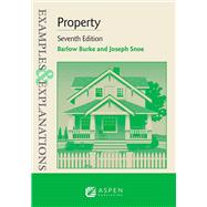Examples & Explanations for Property 9781543857610