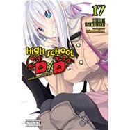 High School DxD, Vol. 17 (light novel) Professor Valkyrie 9798855417661