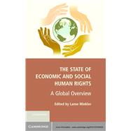 The State of Economic and Social Human Rights 9781107028029