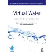 Virtual Water 9780367408077