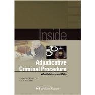 Inside Adjudicative Criminal Procedure What Matters and Why 9781454868118