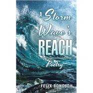 A Storm Wave's Reach 9781490798554
