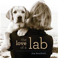 The Love of a Lab 9781493038954
