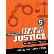 Introduction to Criminal Justice 9781071848975