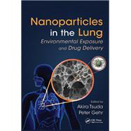 Nanoparticles in the Lung: Environmental Exposure and Drug Delivery 9781138749207