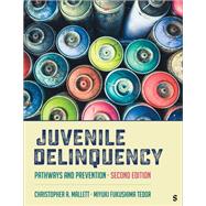 Juvenile Delinquency 9781071979846