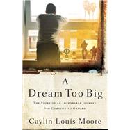 A Dream Too Big 9781400209941
