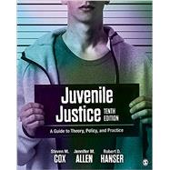 Book cover for Juvenile Justice: A Guide to Theory, Policy, and Practice