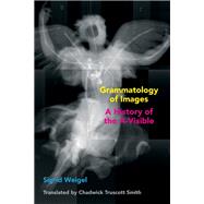 Book cover for Grammatology of Images