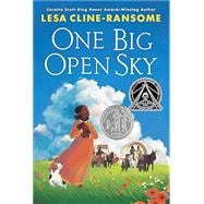 Book cover for One Big Open Sky