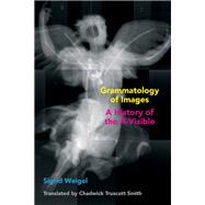 Book cover for Grammatology of Images