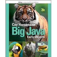 Book cover for Big Java Early Objects