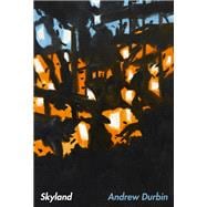 Book cover for Skyland