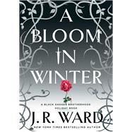 Book cover for A Bloom in Winter