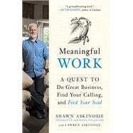 Book cover for Meaningful Work