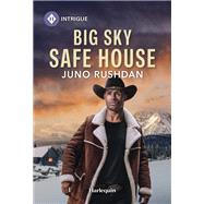 Book cover for Big Sky Safe House