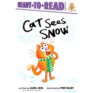 Book cover for Cat Sees Snow Ready-to-Read Ready-to-Go!