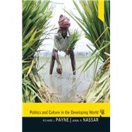 Book cover for Politics and Culture in the Developing World